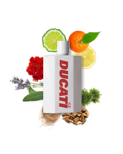 Toaletní voda Ducati Ice Eau de Toilette 100 ml