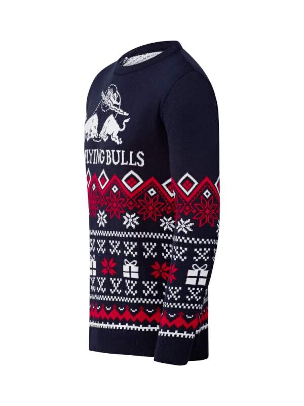 Zimní svetr The Flying Bulls - Winter edition