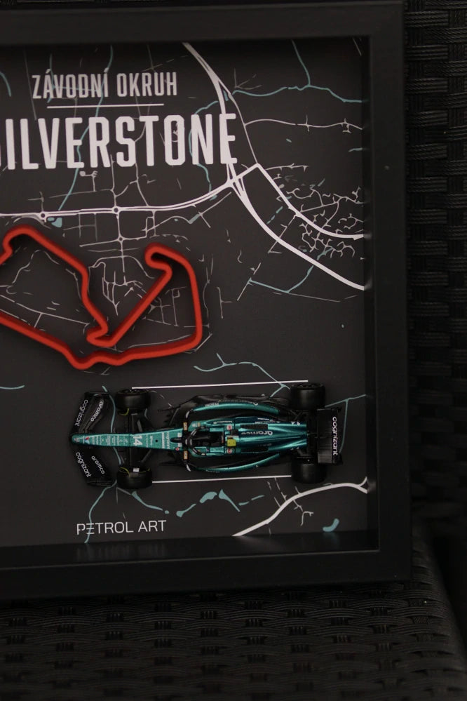 3D obraz Petrol Art – Fernando Alonso, Silverstone