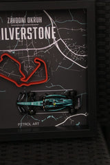 3D obraz Petrol Art – Fernando Alonso, Silverstone