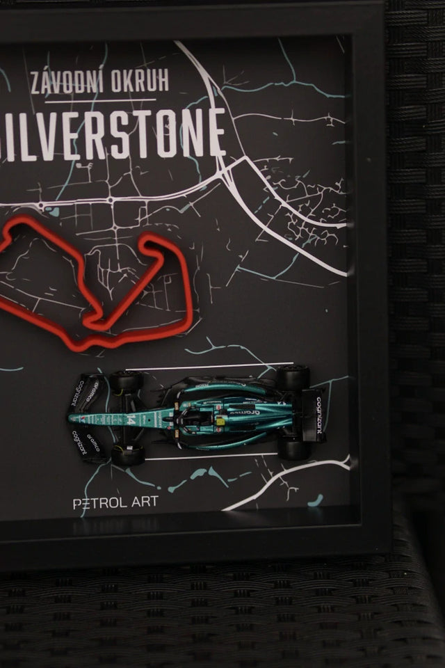 3D obraz Petrol Art – Fernando Alonso, Silverstone