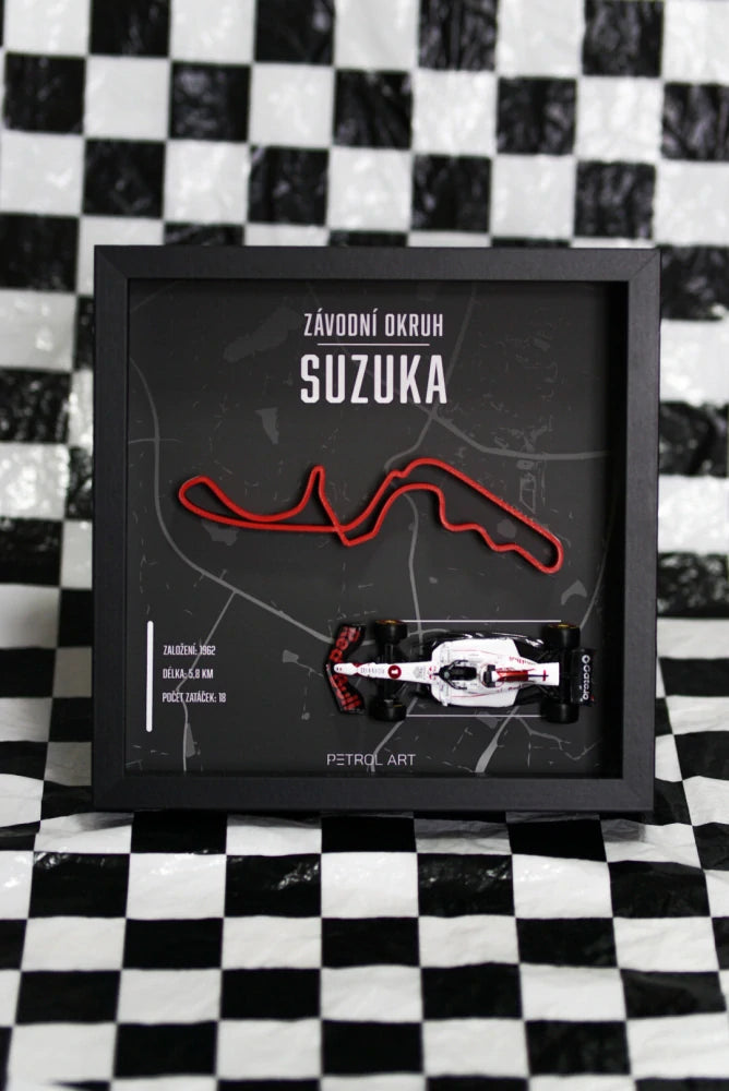 3D obraz Petrol Art – Max Verstappen, Suzuka