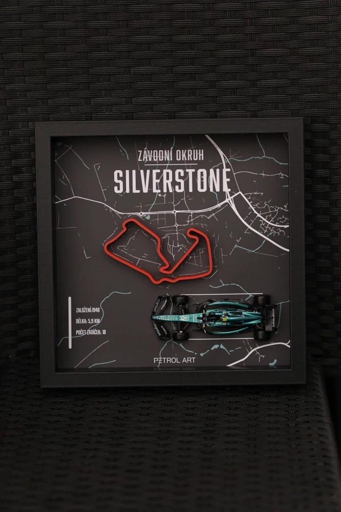 3D obraz Petrol Art – Fernando Alonso, Silverstone