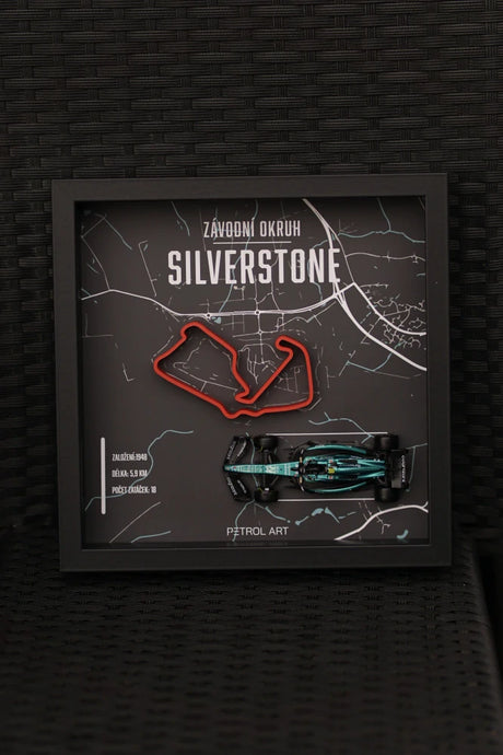 3D obraz Petrol Art – Fernando Alonso, Silverstone