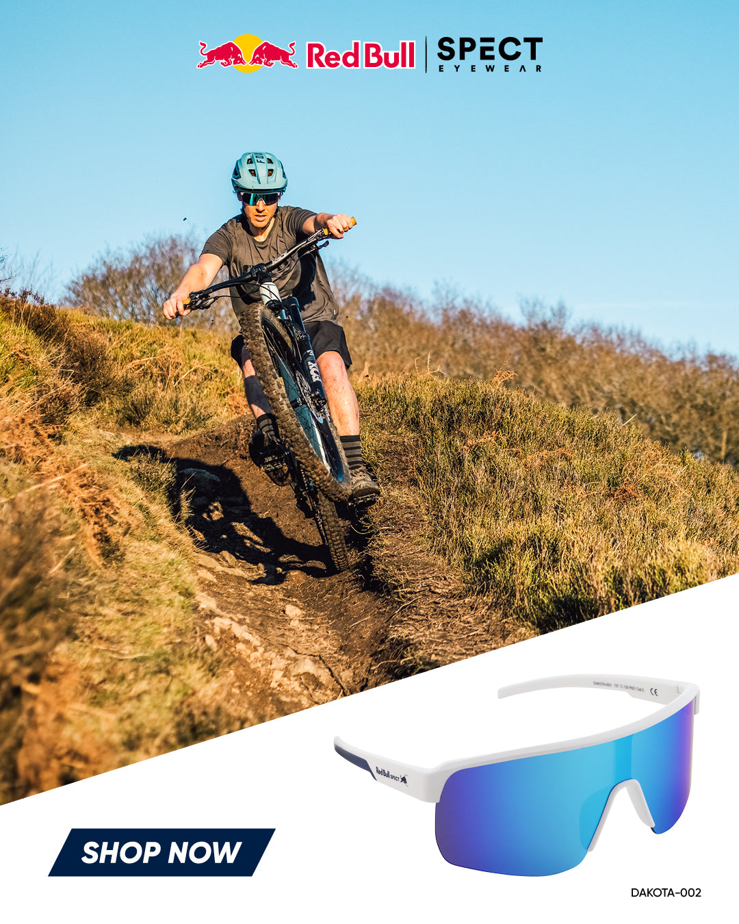 Red Bull Spect sluneční brýle DUNDEE modré s modrým sklem
